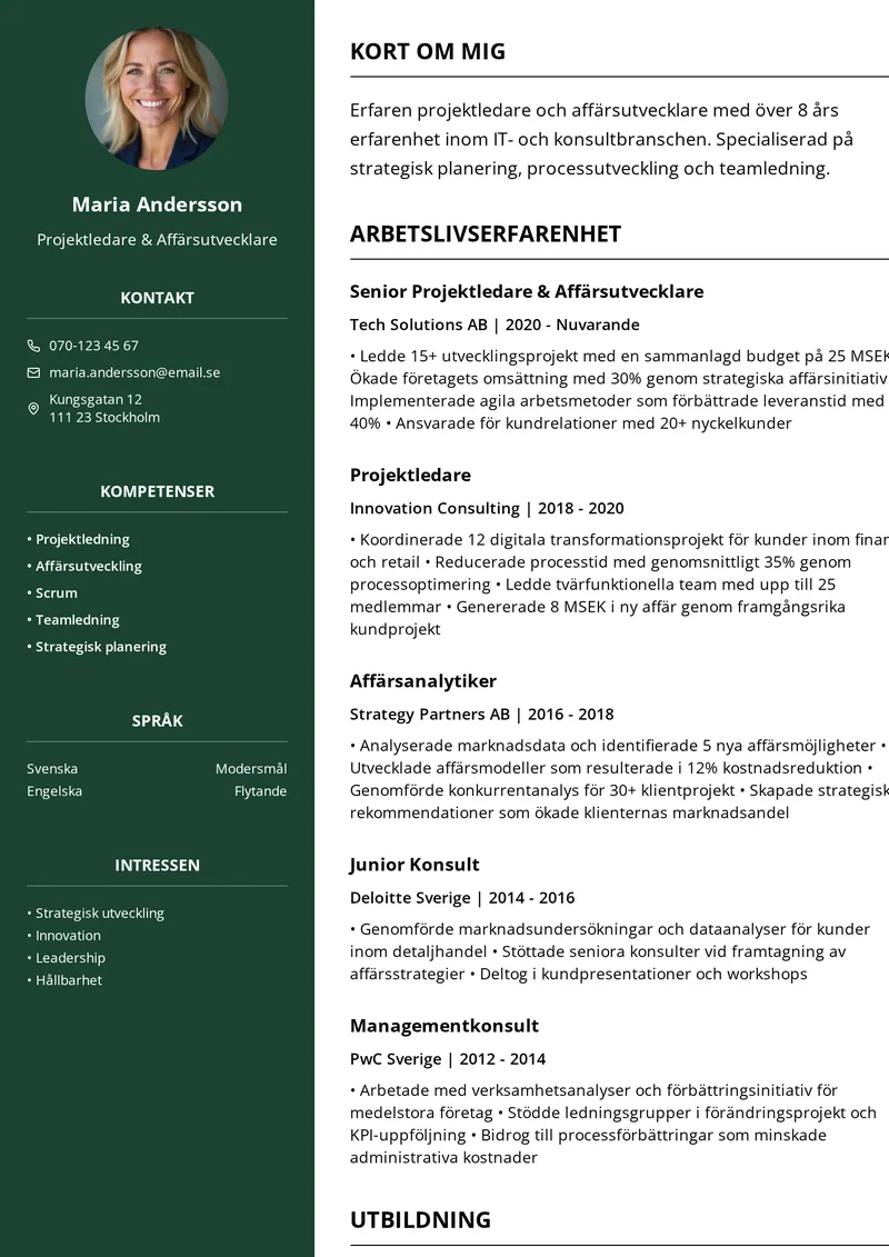 Professionell cv-mall med tydliga sektioner